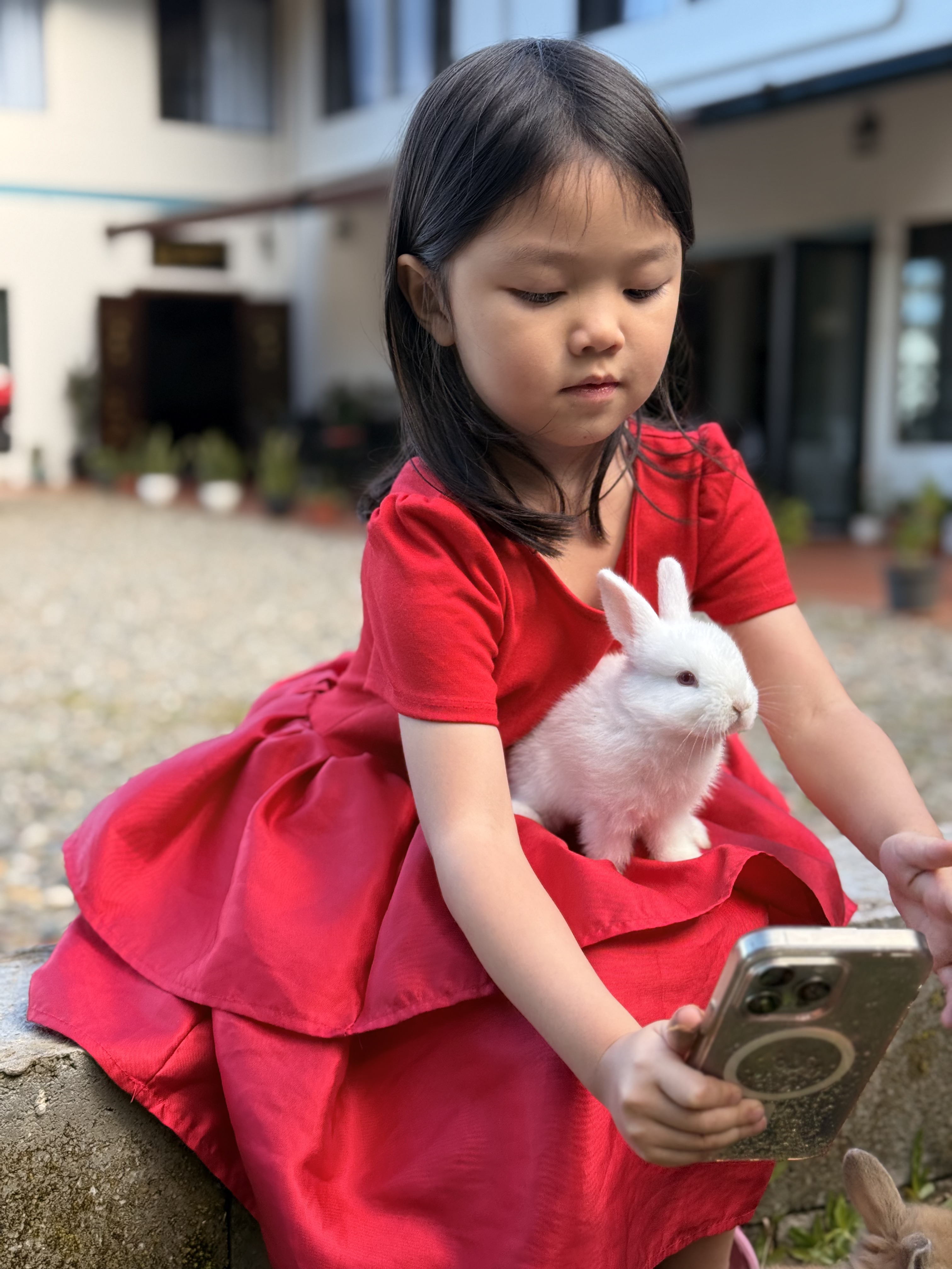 Little Moments of Joy